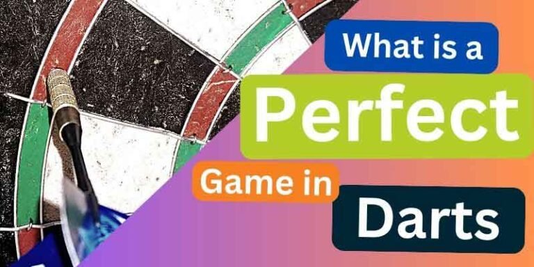 What Is a Perfect Game in Darts?