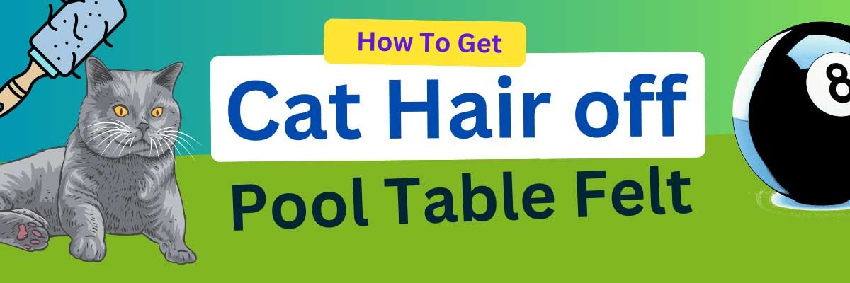 How to Get Cat Hair Off Pool Table Felt